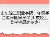 山东轻工职业学院一年奖学金最多能拿多少(山东轻工奖学金最高多少)