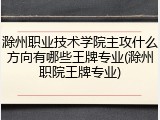 滁州职业技术学院主攻什么方向有哪些王牌专业(滁州职院王牌专业)