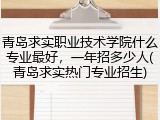 青岛求实职业技术学院什么专业最好，一年招多少人(青岛求实热门专业招生)