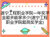 遂宁工程职业学院一年奖学金最多能拿多少(遂宁工程职业学院最高奖学金)