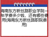 海南东方新丝路职业学院一年学费多少钱，还有哪些费用(海南东方新丝路职院费用)