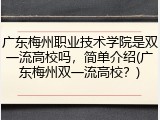 广东梅州职业技术学院是双一流高校吗，简单介绍(广东梅州双一流高校？)