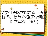 辽宁何氏医学院是双一流高校吗，简单介绍(辽宁何氏医学院双一流？)