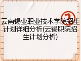 云南锡业职业技术学院招生计划详细分析(云锡职院招生计划分析)
