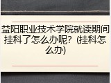 益阳职业技术学院就读期间挂科了怎么办呢？(挂科怎么办)