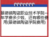 景德镇陶瓷职业技术学院一年学费多少钱，还有哪些费用(景德镇陶瓷学院费用)