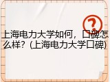 上海电力大学如何，口碑怎么样？(上海电力大学口碑)