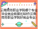 云南商务职业学院哪个专业毕业就业前景比较好(云南商务职业学院好就业专业)