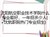 沈阳航空职业技术学院什么专业最好，一年招多少人(沈航职院热门专业招生)