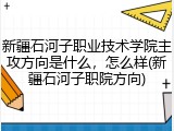 新疆石河子职业技术学院主攻方向是什么，怎么样(新疆石河子职院方向)