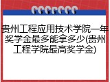 贵州工程应用技术学院一年奖学金最多能拿多少(贵州工程学院最高奖学金)