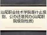 汕尾职业技术学院是什么级别，公办还是民办(汕尾职院级别性质)
