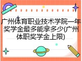 广州体育职业技术学院一年奖学金最多能拿多少(广州体职奖学金上限)