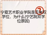 宁夏艺术职业学院是否有双学位，为什么(宁艺院双学位原因)