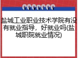 盐城工业职业技术学院有没有就业指导，好就业吗(盐城职院就业情况)
