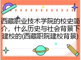 西藏职业技术学院的校史简介，什么历史与社会背景下建校的(西藏职院建校背景)