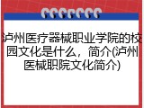 泸州医疗器械职业学院的校园文化是什么，简介(泸州医械职院文化简介)