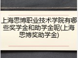 上海思博职业技术学院有哪些奖学金和助学金呢(上海思博奖助学金)