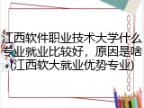 江西软件职业技术大学什么专业就业比较好，原因是啥(江西软大就业优势专业)