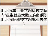 湖北汽车工业学院科技学院毕业生就业大致去向如何(湖北汽院科技学院就业去向)