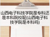 山西电子科技学院是专科还是本科院校呢(山西电子科技学院是本科吗)