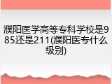 濮阳医学高等专科学校是985还是211(濮阳医专什么级别)
