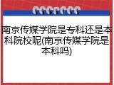 南京传媒学院是专科还是本科院校呢(南京传媒学院是本科吗)