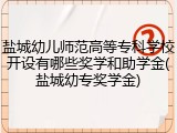 盐城幼儿师范高等专科学校开设有哪些奖学和助学金(盐城幼专奖学金)