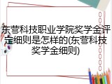东营科技职业学院奖学金评定细则是怎样的(东营科技奖学金细则)