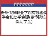 贵州传媒职业学院有哪些奖学金和助学金呢(贵传院校奖助学金)