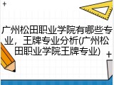 广州松田职业学院有哪些专业，王牌专业分析(广州松田职业学院王牌专业)