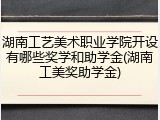 湖南工艺美术职业学院开设有哪些奖学和助学金(湖南工美奖助学金)