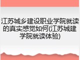 江苏城乡建设职业学院就读的真实感觉如何(江苏城建学院就读体验)