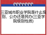 三亚城市职业学院是什么级别，公办还是民办(三亚学院级别性质)