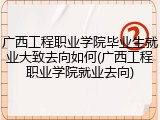 广西工程职业学院毕业生就业大致去向如何(广西工程职业学院就业去向)