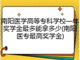南阳医学高等专科学校一年奖学金最多能拿多少(南阳医专最高奖学金)