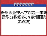 贵州职业技术学院是一本吗录取分数线多少(贵州职院录取线)