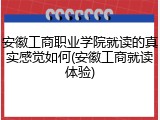 安徽工商职业学院就读的真实感觉如何(安徽工商就读体验)