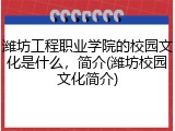 潍坊工程职业学院的校园文化是什么，简介(潍坊校园文化简介)