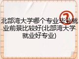 北部湾大学哪个专业毕业就业前景比较好(北部湾大学就业好专业)