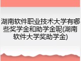 湖南软件职业技术大学有哪些奖学金和助学金呢(湖南软件大学奖助学金)