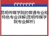 昆明传媒学院的普通专业和特色专业详解(昆明传媒学院专业解析)