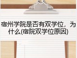 宿州学院是否有双学位，为什么(宿院双学位原因)