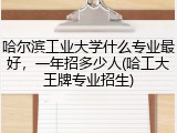 哈尔滨工业大学什么专业最好，一年招多少人(哈工大王牌专业招生)