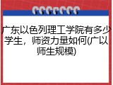 广东以色列理工学院有多少学生，师资力量如何(广以师生规模)