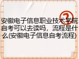 安徽电子信息职业技术学院自考可以去读吗，流程是什么(安徽电子信息自考流程)