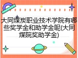 大同煤炭职业技术学院有哪些奖学金和助学金呢(大同煤院奖助学金)