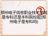 郑州电子信息职业技术学院是专科还是本科院校呢(郑州电子是专科吗)