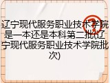 辽宁现代服务职业技术学院是一本还是本科第二批(辽宁现代服务职业技术学院批次)