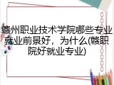 赣州职业技术学院哪些专业就业前景好，为什么(赣职院好就业专业)